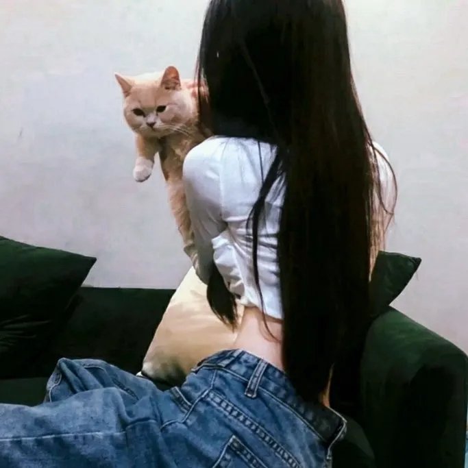 我是只小小鸟
